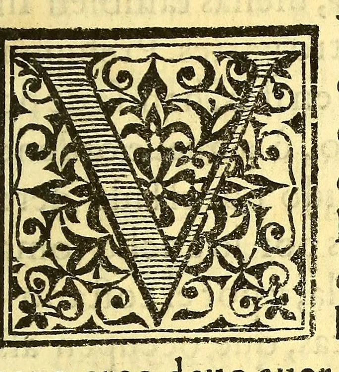 An illustration from Dialogos militares, : de la formacion, è informacion de personas, instrumentos, y cosas necessarias para el buen vso de la guerra., 1583, leaf 335
