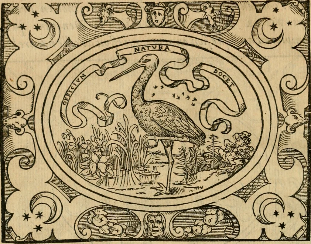 An illustration from Dialogue des devises d'armes et d'amovrs du S. Pavlo Iovio : avec un discours M. Loys Dominique sur le mesme subiet, 1561, leaf 101
