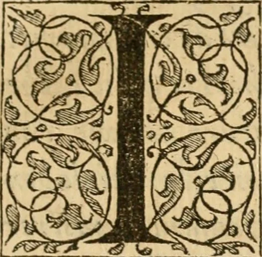 An illustration from Dialogue des devises d'armes et d'amovrs du S. Pavlo Iovio : avec un discours M. Loys Dominique sur le mesme subiet, 1561, leaf 220