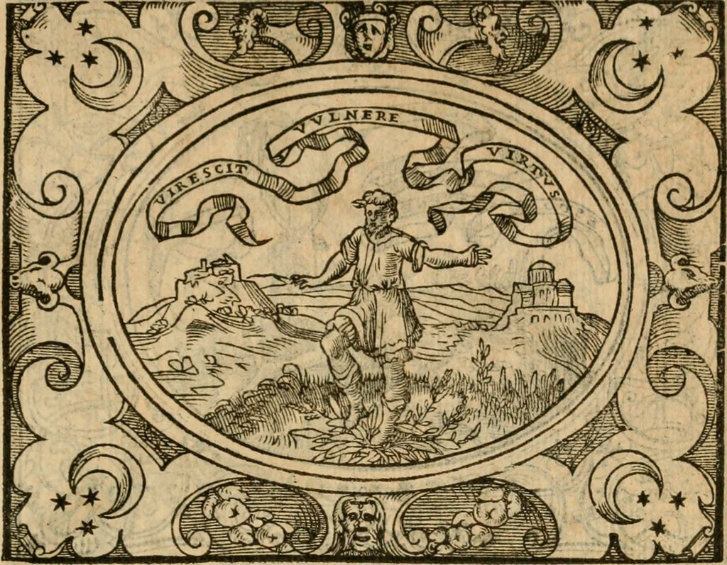 An illustration from Dialogue des devises d'armes et d'amovrs du S. Pavlo Iovio : avec un discours M. Loys Dominique sur le mesme subiet, 1561, leaf 244