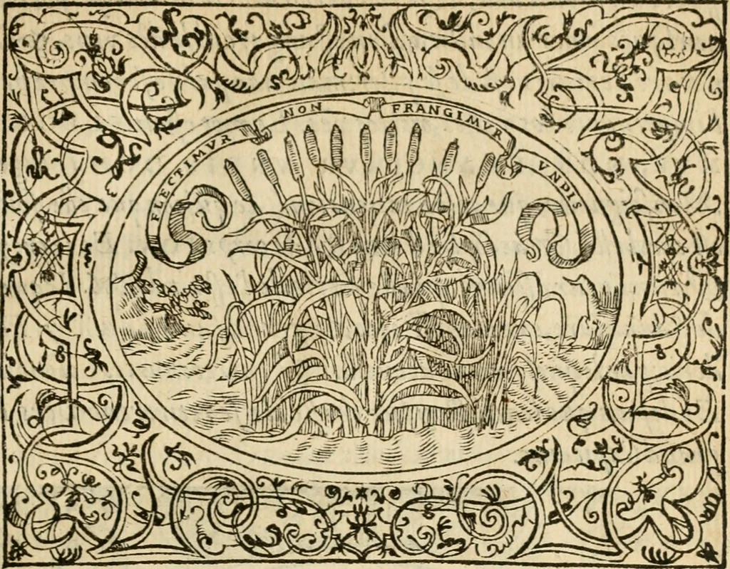 An illustration from Dialogue des devises d'armes et d'amovrs du S. Pavlo Iovio : avec un discours M. Loys Dominique sur le mesme subiet, 1561, leaf 70
