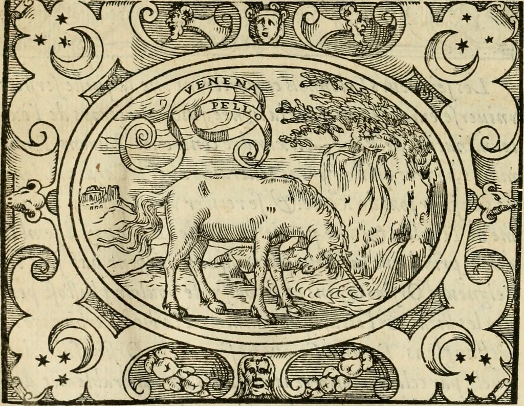 An illustration from Dialogue des devises d'armes et d'amovrs du S. Pavlo Iovio : avec un discours M. Loys Dominique sur le mesme subiet, 1561, leaf 71