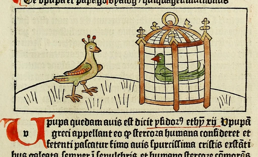 An illustration from Dyalog[us] creaturaru[m] moralizat[us] : omni materie morali iocu[n]do et edificatiuo modo applicabilis, leaf 107