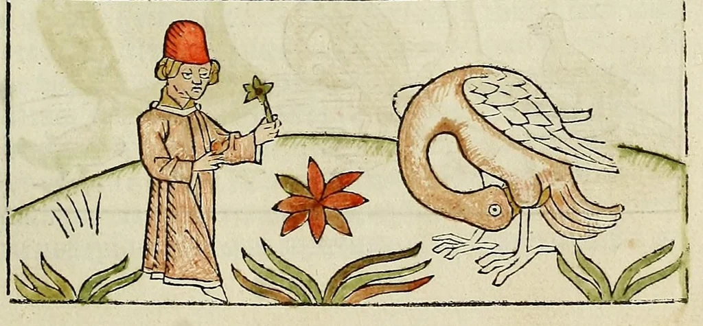 An illustration from Dyalog[us] creaturaru[m] moralizat[us] : omni materie morali iocu[n]do et edificatiuo modo applicabilis, leaf 131