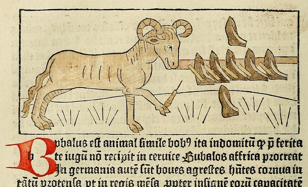 An illustration from Dyalog[us] creaturaru[m] moralizat[us] : omni materie morali iocu[n]do et edificatiuo modo applicabilis, leaf 172