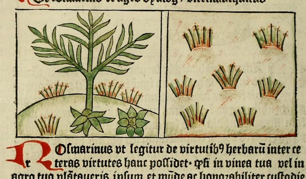 An illustration from Dyalog[us] creaturaru[m] moralizat[us] : omni materie morali iocu[n]do et edificatiuo modo applicabilis, leaf 60