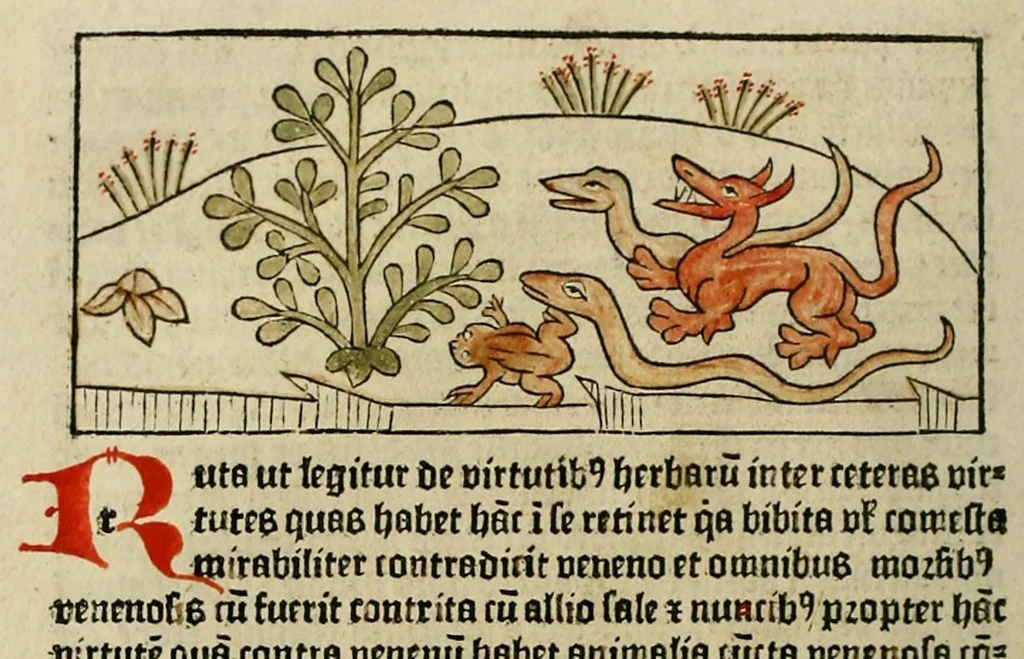 An illustration from Dyalog[us] creaturaru[m] moralizat[us] : omni materie morali iocu[n]do et edificatiuo modo applicabilis, leaf 62