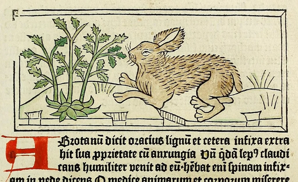 An illustration from Dyalog[us] creaturaru[m] moralizat[us] : omni materie morali iocu[n]do et edificatiuo modo applicabilis, leaf 65