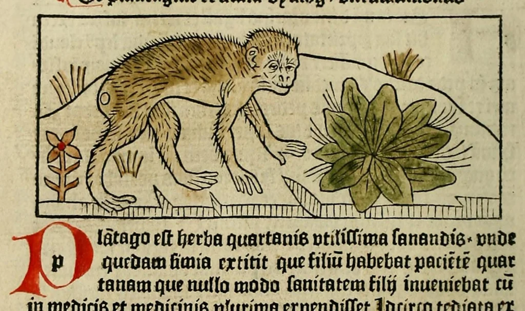 An illustration from Dyalog[us] creaturaru[m] moralizat[us] : omni materie morali iocu[n]do et edificatiuo modo applicabilis, leaf 66