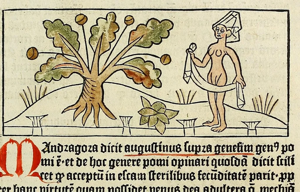 An illustration from Dyalog[us] creaturaru[m] moralizat[us] : omni materie morali iocu[n]do et edificatiuo modo applicabilis, leaf 69