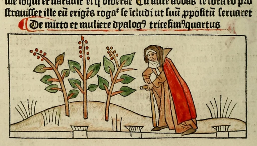 An illustration from Dyalog[us] creaturaru[m] moralizat[us] : omni materie morali iocu[n]do et edificatiuo modo applicabilis, leaf 72