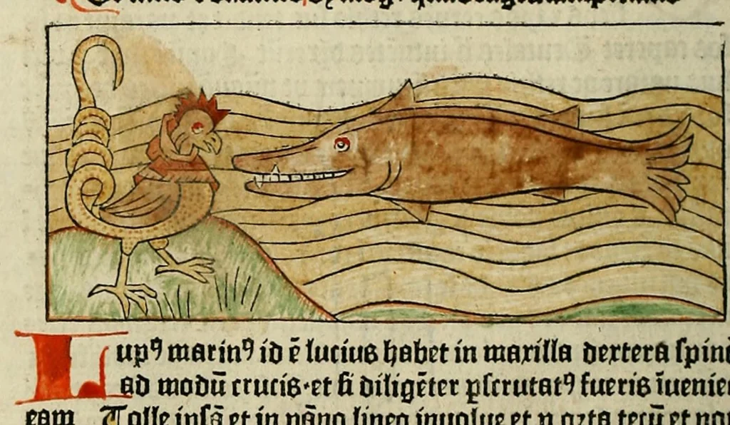 An illustration from Dyalog[us] creaturaru[m] moralizat[us] : omni materie morali iocu[n]do et edificatiuo modo applicabilis, leaf 82