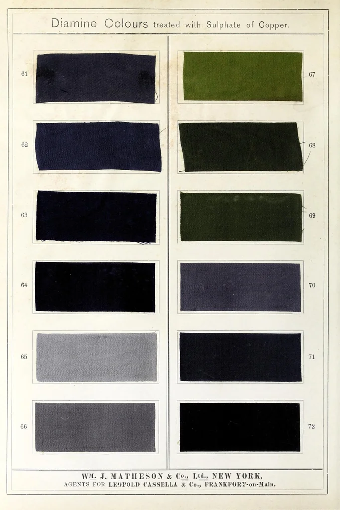 An illustration from Diamine colours on cotton treated with sulphate of copper, 1898, leaf 12