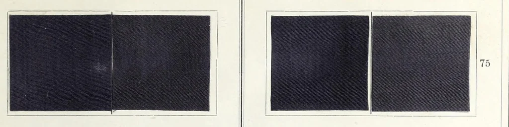 An illustration from Diamine colours on cotton treated with sulphate of copper, 1898, leaf 13