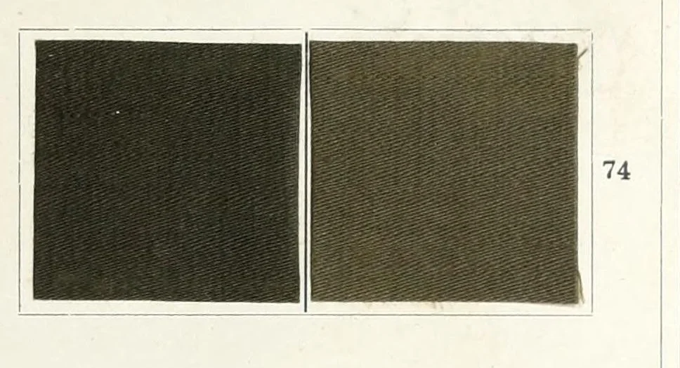 An illustration from Diamine colours on cotton treated with sulphate of copper, 1898, leaf 13