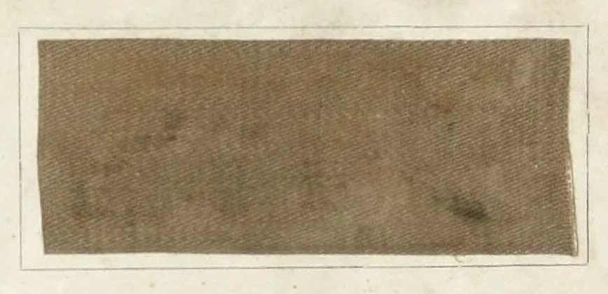 An illustration from Diamine colours on cotton treated with sulphate of copper, 1898, leaf 9