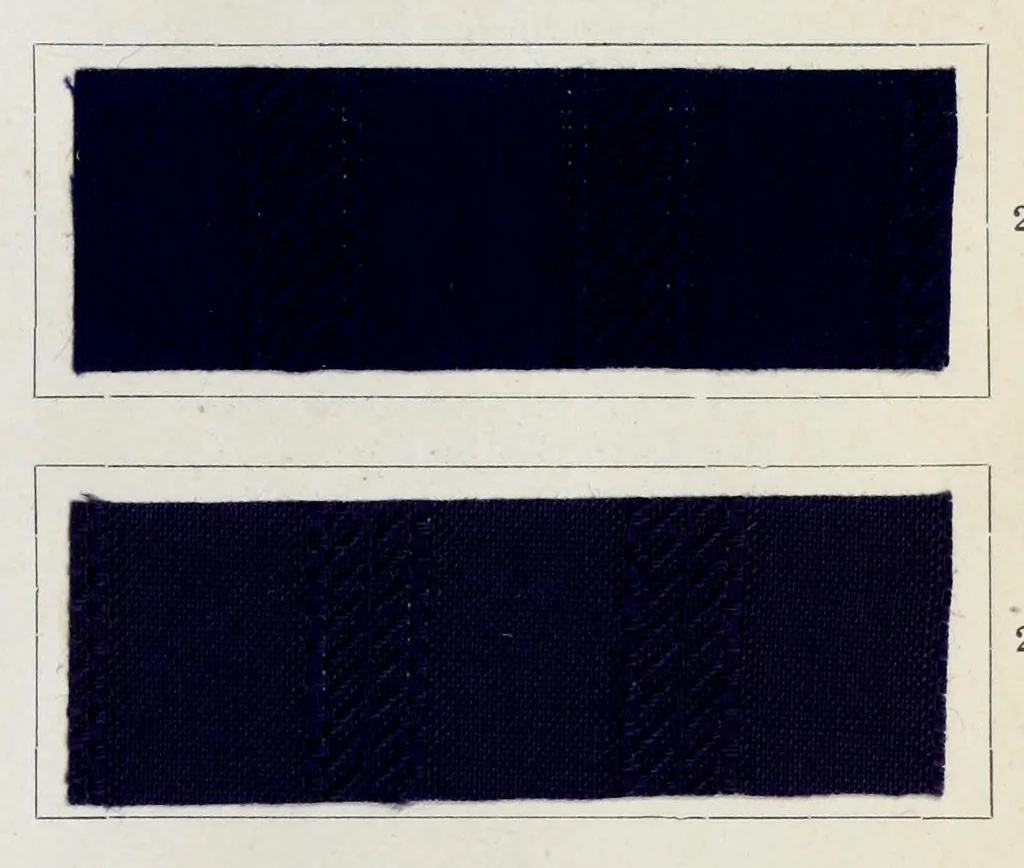 An illustration from Diamin- und Diaminechtfarben auf Baumwoll-Stückware = Diamine and Diamine fast colours on cotton piece-goods, 1900, leaf 47