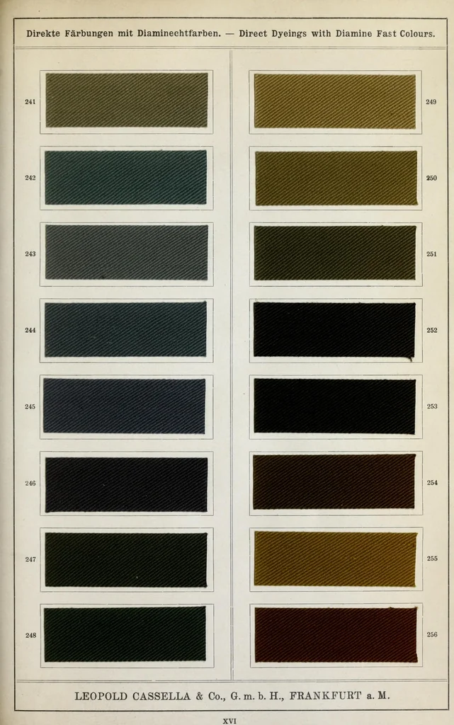 An illustration from Diamin- und Diaminechtfarben auf Baumwoll-Stückware = Diamine and Diamine fast colours on cotton piece-goods, 1900, leaf 53