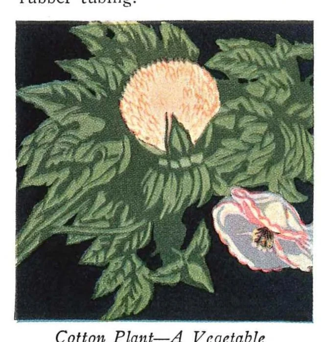 An illustration from Diamond Dyes - Color Craft 1927, 1927, leaf 21