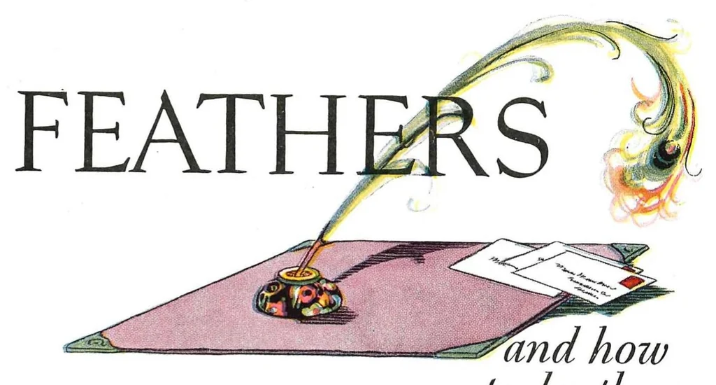 An illustration from Diamond Dyes - Color Craft 1927, 1927, leaf 51