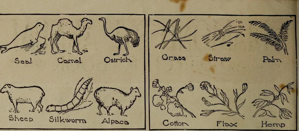 An illustration from Diamond dye annual, and direction book, 1914, leaf 5