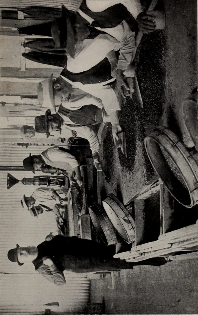 An illustration from Diamonds, pearls and precious stones : where they are found, howcut, and made ready for use in the jeweler's art, their composition and value, 1913, leaf 35