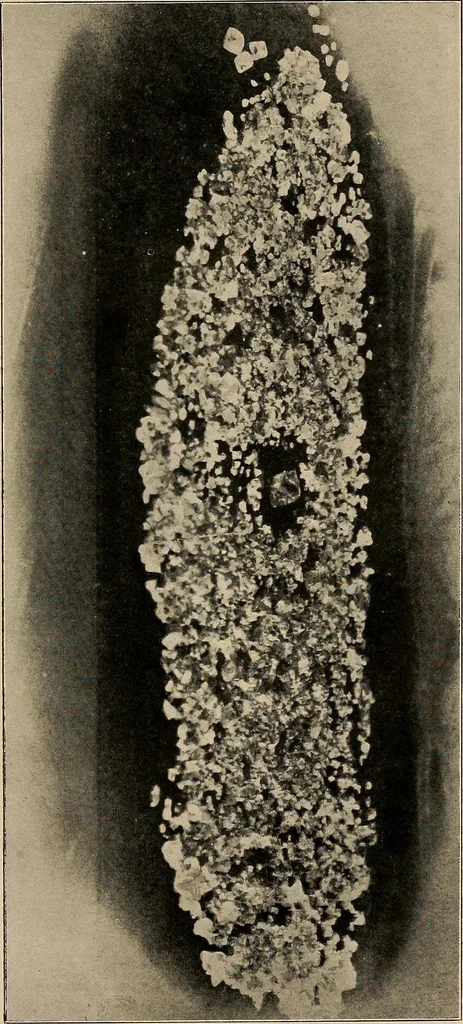 An illustration from Diamonds, pearls and precious stones;, 1913, leaf 19