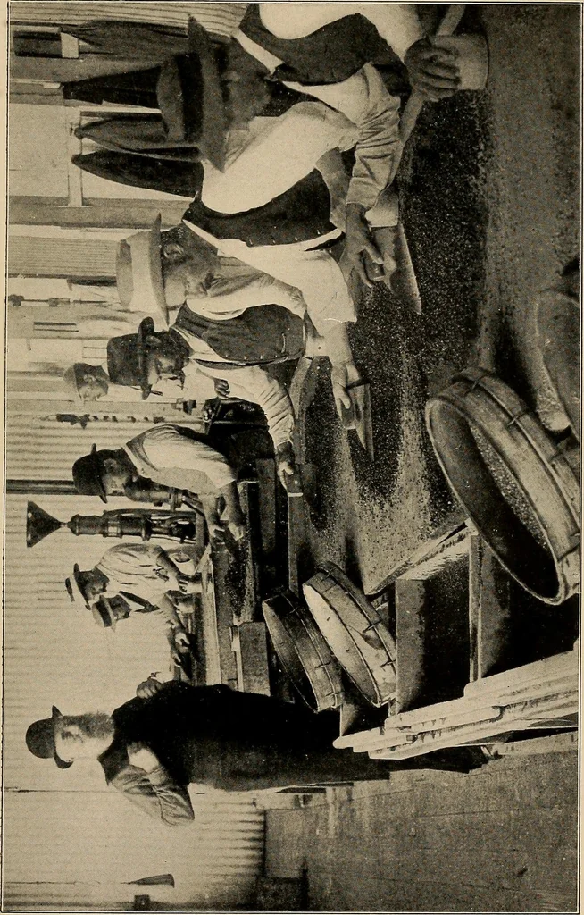 An illustration from Diamonds, pearls and precious stones;, 1913, leaf 31