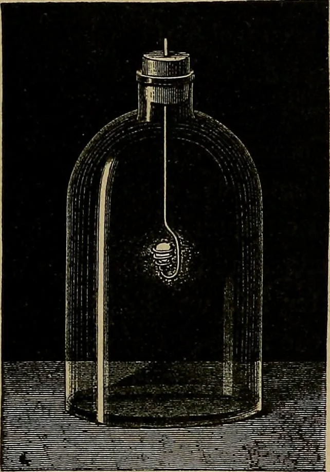 An illustration from Diamonds and precious stones, a popular account of gems .., 1874, leaf 104