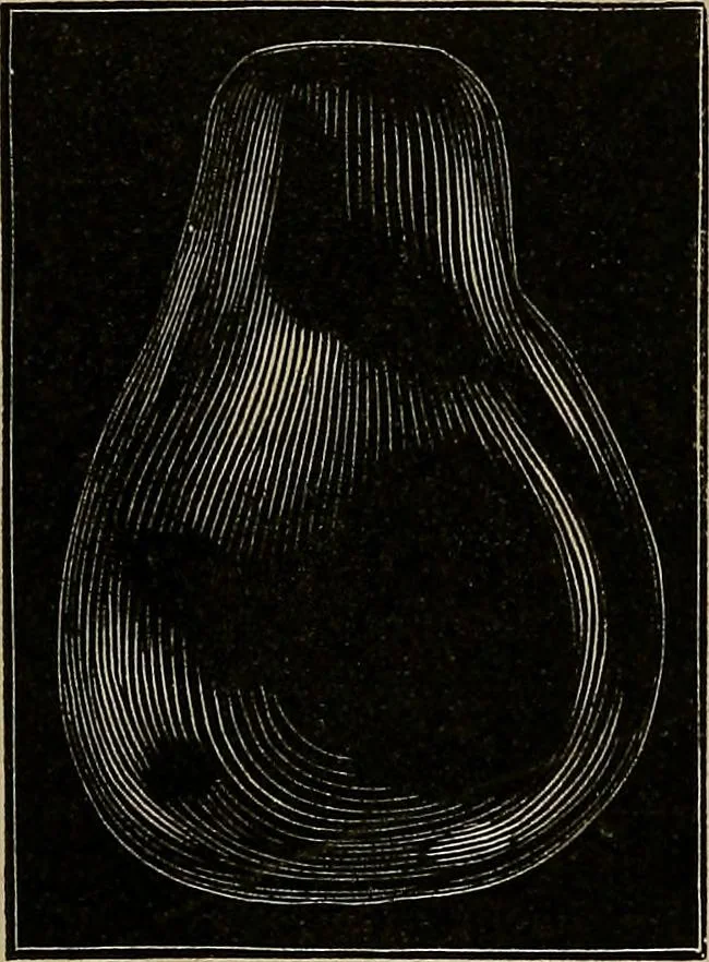 An illustration from Diamonds and precious stones, a popular account of gems .., 1874, leaf 106