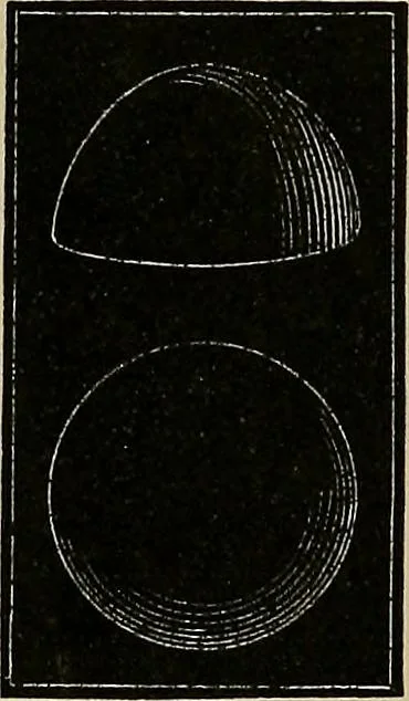 An illustration from Diamonds and precious stones, a popular account of gems .., 1874, leaf 141