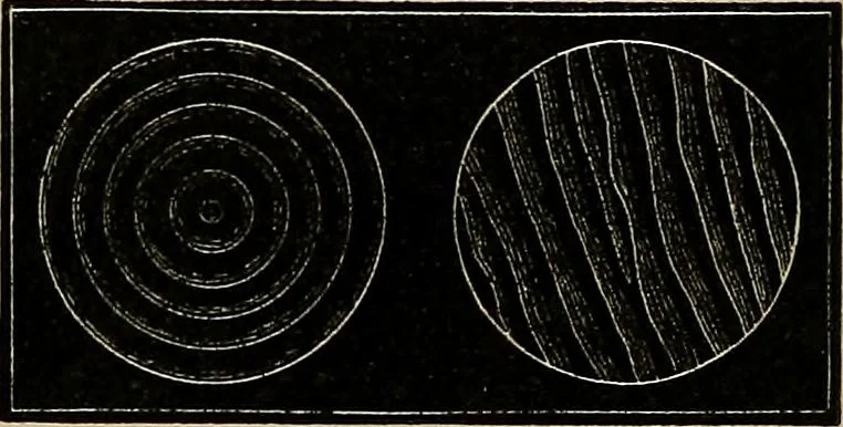An illustration from Diamonds and precious stones, a popular account of gems .., 1874, leaf 211