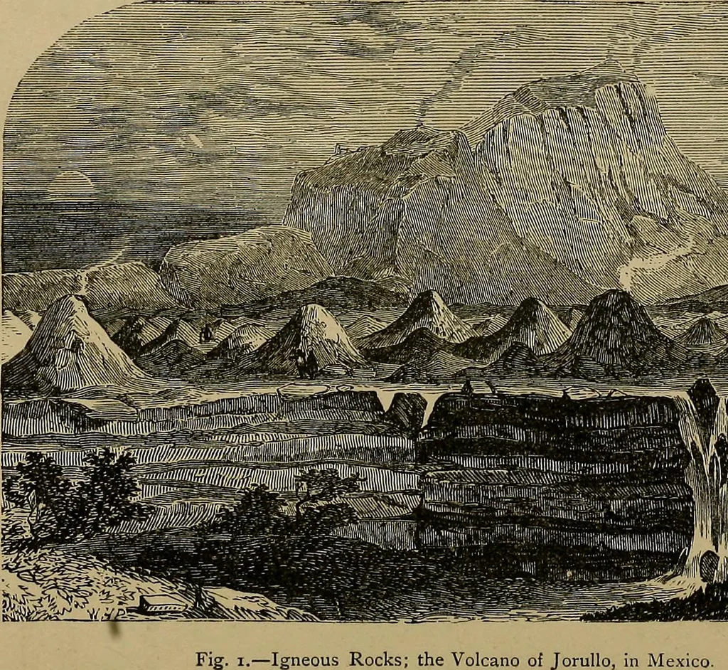 An illustration from Diamonds and precious stones, a popular account of gems .., 1874, leaf 24