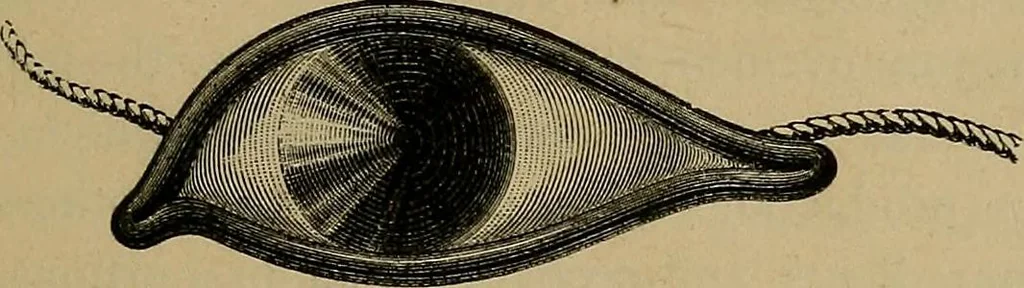 An illustration from Diamonds and precious stones, a popular account of gems .., 1874, leaf 264