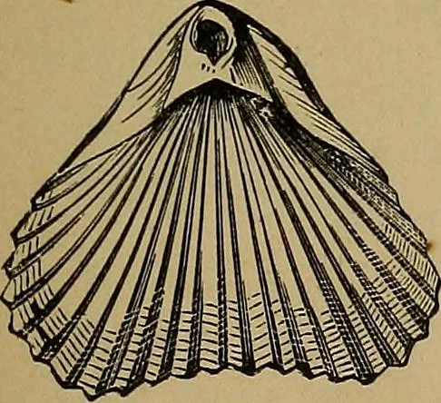 An illustration from Diamonds and precious stones, a popular account of gems .., 1874, leaf 32