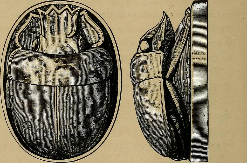 An illustration from Diamonds and precious stones, a popular account of gems .., 1874, leaf 53