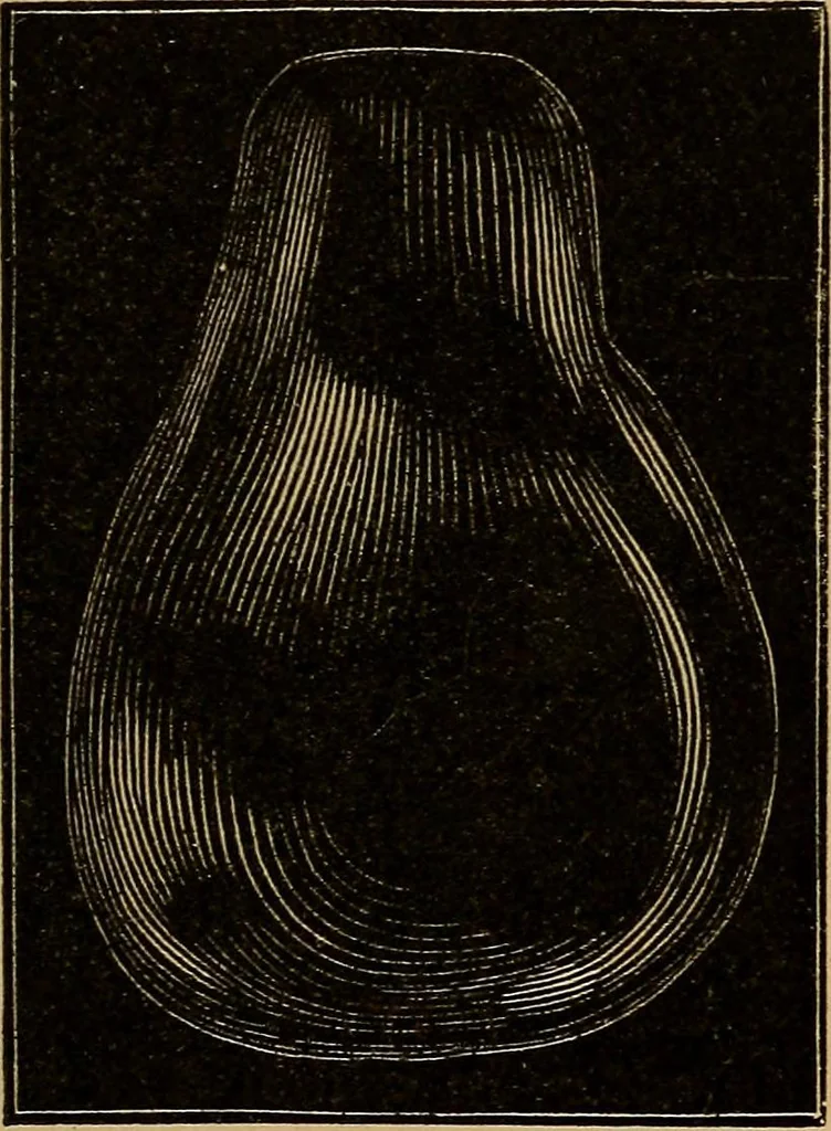 An illustration from Diamonds and precious stones, a popular account of gems .., 1874, leaf 106