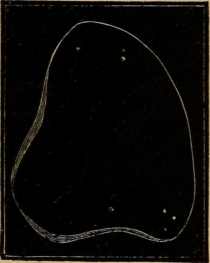 An illustration from Diamonds and precious stones, a popular account of gems .., 1874, leaf 140