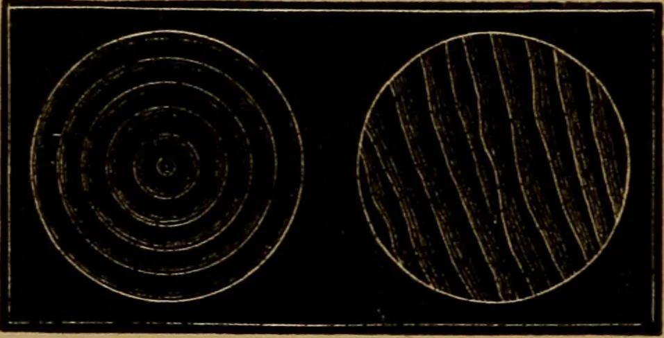 An illustration from Diamonds and precious stones, a popular account of gems .., 1874, leaf 211