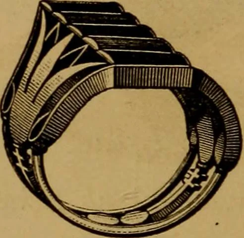 An illustration from Diamonds and precious stones, a popular account of gems .., 1874, leaf 263