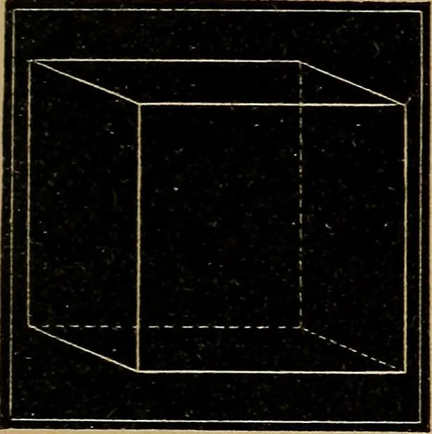 An illustration from Diamonds and precious stones, a popular account of gems .., 1874, leaf 278