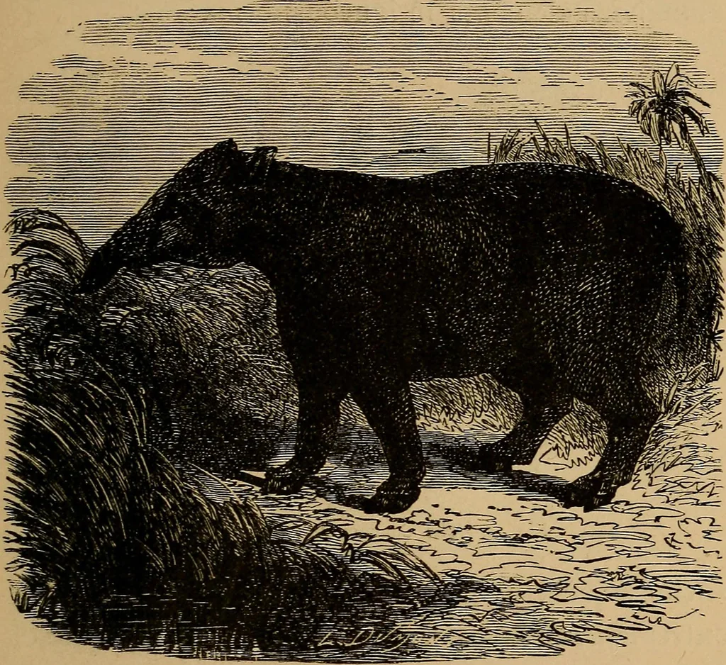 An illustration from Diamonds and precious stones, a popular account of gems .., 1874, leaf 34