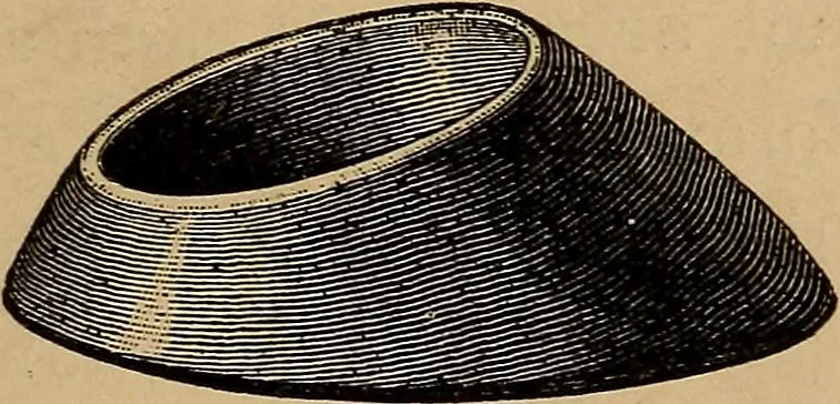 An illustration from Diamonds and precious stones, a popular account of gems .., 1874, leaf 56