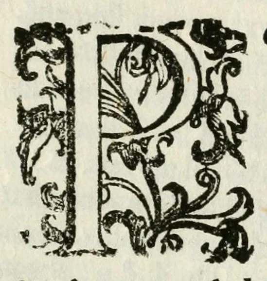 An illustration from Diario en que se prosigue la narracion de lo sucedido en Milan despues de la real entrada de la reyna nuestra señora doña Maria Anna de Austria, 1649, leaf 5