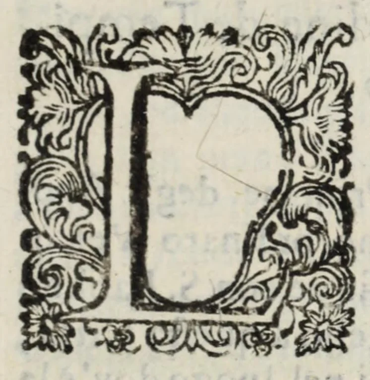 An illustration from Diario sacro e guida perpetua per visitare le chiese della città di Firenze, e suoi sobborghi in tutt' i giorni dell' anno, e per sapere le feste, che vi si celebrano, l' indulgenze perpetue che vi s' accquistano, e gl' esercizj di devozione, e pietà che vi si fanno : con una notizia de' corpi, e reliquie di santi, che in esse chiese si conservano, ed un catalogo de SS. e BB. che in essa città fiorirono, ed altre particolarità, 1700, leaf 437