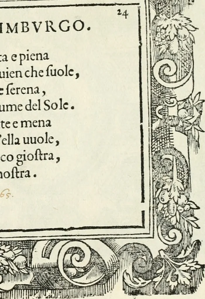 An illustration from Di Battista Pittoni pittore vicentino Imprese di diversi prencipi, dvchi, signori, e d'altri personaggi et hvomini letterati et illvstri : con alcune stanze del Dolce che dichiarano i motti di esse imprese, 1562, leaf 100