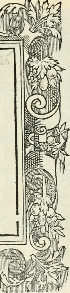 An illustration from Di Battista Pittoni pittore vicentino Imprese di diversi prencipi, dvchi, signori, e d'altri personaggi et hvomini letterati et illvstri : con alcune stanze del Dolce che dichiarano i motti di esse imprese, 1562, leaf 104