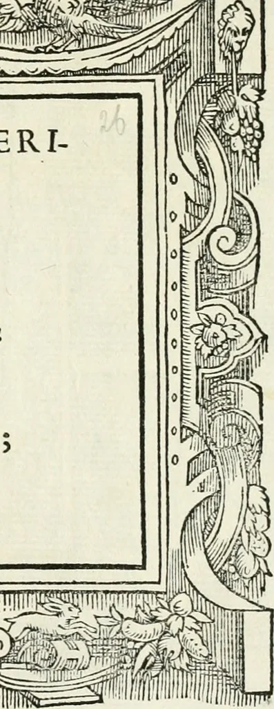 An illustration from Di Battista Pittoni pittore vicentino Imprese di diversi prencipi, dvchi, signori, e d'altri personaggi et hvomini letterati et illvstri : con alcune stanze del Dolce che dichiarano i motti di esse imprese, 1562, leaf 108
