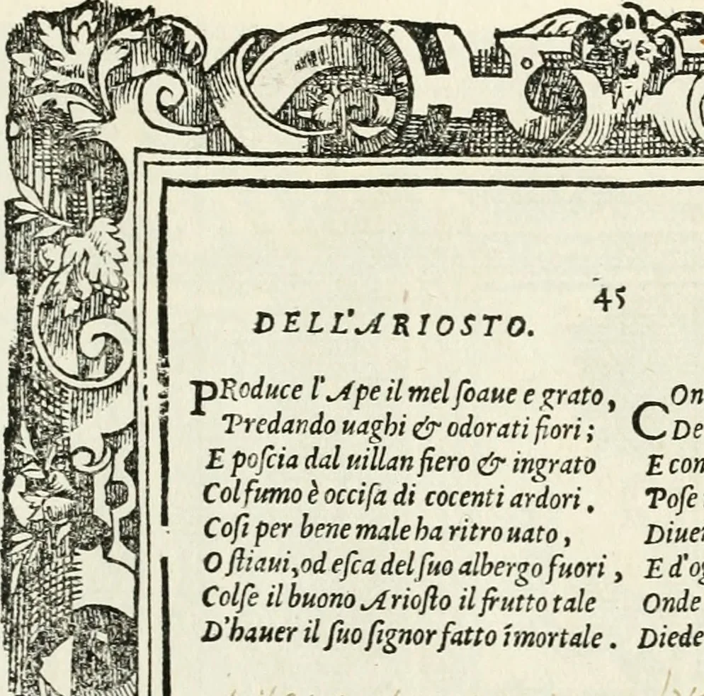 An illustration from Di Battista Pittoni pittore vicentino Imprese di diversi prencipi, dvchi, signori, e d'altri personaggi et hvomini letterati et illvstri : con alcune stanze del Dolce che dichiarano i motti di esse imprese, 1562, leaf 156