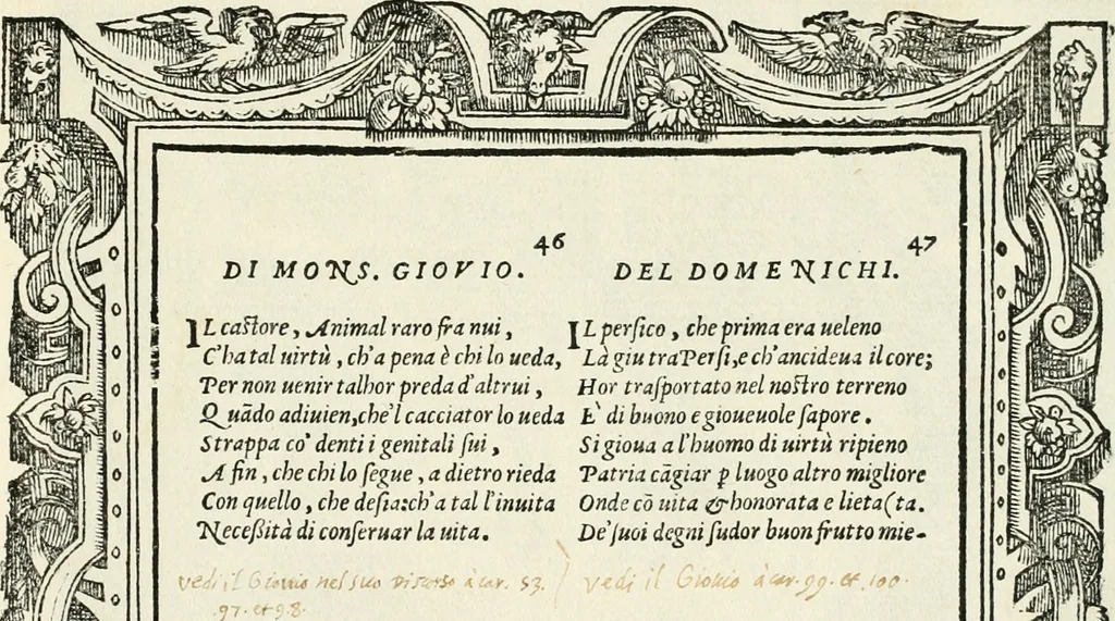 An illustration from Di Battista Pittoni pittore vicentino Imprese di diversi prencipi, dvchi, signori, e d'altri personaggi et hvomini letterati et illvstri : con alcune stanze del Dolce che dichiarano i motti di esse imprese, 1562, leaf 188